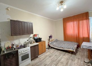 Продажа квартиры студии, 23.9 м2, посёлок Солнечный, улица Строителей, 8/1