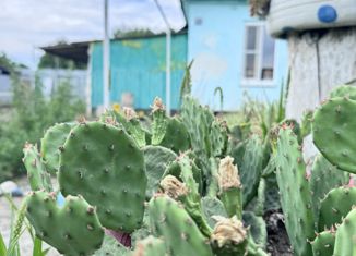 Дом на продажу, 42 м2, Ставропольский край, Виноградная улица