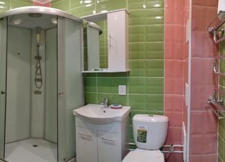 Продаю квартиру студию, 28.6 м2, село Зубово, Весенняя улица, 1