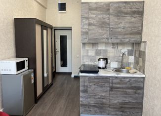 Сдается в аренду квартира студия, 17 м2, Москва, улица Артюхиной, 6к2, станция Текстильщики