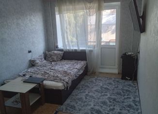 Продается однокомнатная квартира, 31 м2, Пенза, улица Пушанина, 12