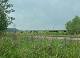 Продажа земельного участка, 11 сот., деревня Иглово