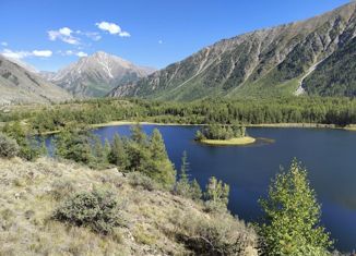 Продается участок, 12500 сот., село Беляши