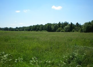 Продам участок, 200 сот., деревня Русиновка