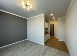 Продаю квартиру студию, 27 м2, Ростов-на-Дону, проспект Солженицына, 13, ЖК Пятый Элемент