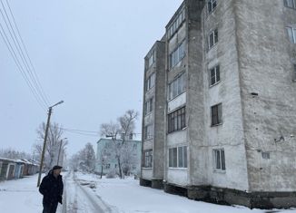 Продается 2-комнатная квартира, 45.7 м2, поселок городского типа Каменка, улица Мира, 18