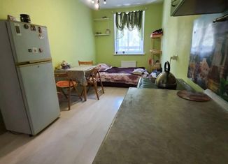 Сдается 1-комнатная квартира, 40 м2, Екатеринбург, Студенческая улица, 80