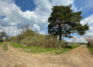 Участок на продажу, 10 сот., деревня Селищево, деревня Селищево, 11