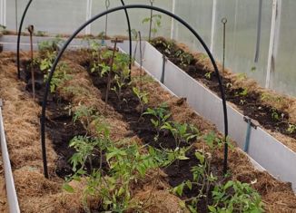 Продам земельный участок, 12 сот., СНТ Химик, 6-я аллея