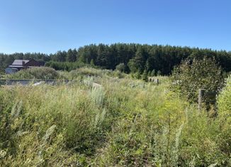 Земельный участок на продажу, 30 сот., село Курьи