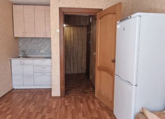 Сдается квартира студия, 27 м2, Самара, улица Свободы, 20А