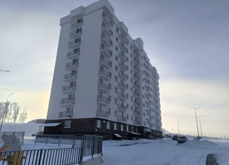 Продается 1-комнатная квартира, 30.2 м2, посёлок Новинки, 2-я Дорожная улица, 31