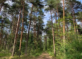 Продается участок, 14 сот., городской поселок Большая Ижора, Приморское шоссе, 74