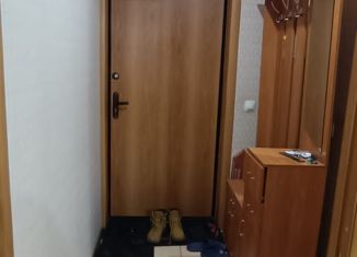 Продажа квартиры студии, 24 м2, Ижевск, улица Героя России Ильфата Закирова, 34, жилой район Аэропорт