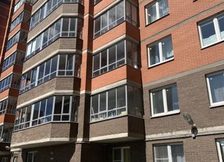 Продажа квартиры студии, 26.5 м2, посёлок Металлострой, Садовая улица, 6