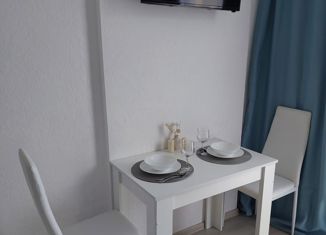 Продажа квартиры студии, 15 м2, Сочи, Фермерский переулок, 24/1, микрорайон Энергетик-Изумруд