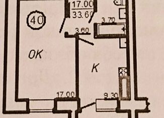 Продается 1-комнатная квартира, 33.1 м2, деревня Маурино, Архангельская улица, 27