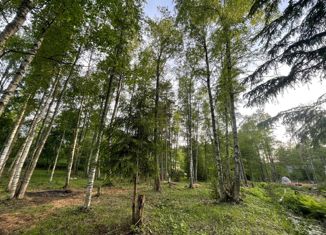 Продажа участка, 9 сот., деревня Чёрная Лахта