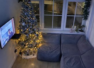 Продается квартира студия, 28 м2, Москва, 2-й Вольный переулок, 11, станция Соколиная Гора