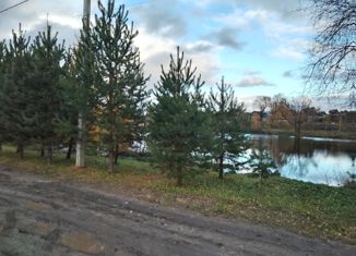 Продажа дома, 60 м2, село Сорогужино, село Сорогужино, 47