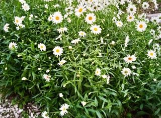 Дом на продажу, 30.2 м2, хутор Ханьков, улица Ленина