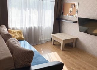 Продажа 2-ком. квартиры, 42 м2, Екатеринбург, улица Куйбышева, 74, метро Геологическая