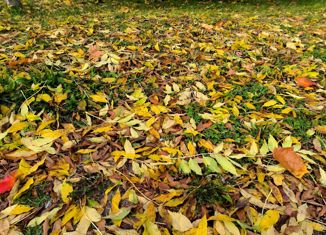 Продается земельный участок, 9 сот., посёлок Рыбное, Лановецкий переулок