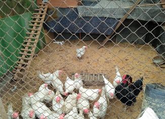 Продам дом, 50 м2, дачно-строительный кооператив Комсомольский