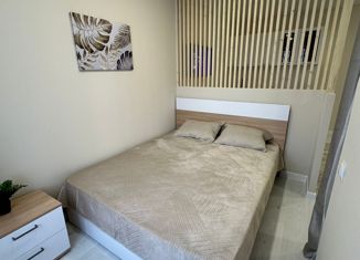 Квартира на продажу студия, 34 м2, Хакасия, улица Генерала Тихонова, 8