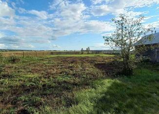 Продаю дом, 25.4 м2, деревня Калтаево, Центральная улица