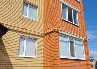 2-ком. квартира в аренду, 48.6 м2, посёлок Саракташ, Черкасская улица, 10