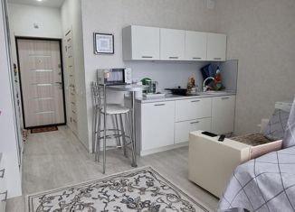 Продается квартира студия, 23.9 м2, Анапа, Анапское шоссе, 24к5, ЖК Раз-Два-Три