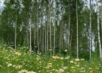 Продаю земельный участок, 30 сот., деревня Новосёлово, 28Н-0388