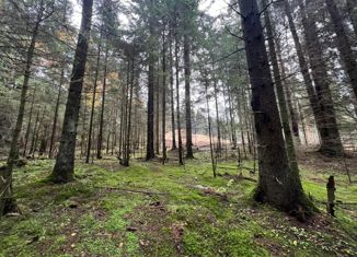 Продам участок, 12 сот., деревня Мистолово, Главная улица, 18