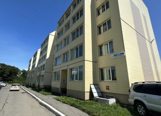 Продается 2-ком. квартира, 57.3 м2, Петропавловск-Камчатский, улица Виталия Кручины, 2к2, микрорайон Северо-Восток