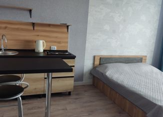 Сдаю в аренду квартиру студию, 25.4 м2, Новосибирск, ЖК на Королёва, улица Королёва, 1Б