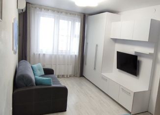 Продаю 1-ком. квартиру, 31 м2, поселок городского типа Емельяново, Новая улица, 18