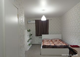 Сдается в аренду 1-комнатная квартира, 20 м2, Ульяновская область, Бакинская улица, 163