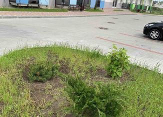 Квартира на продажу студия, 24 м2, Светлогорск, Молодёжная улица, 19