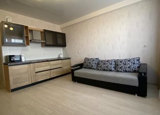 Продаю квартиру студию, 24.9 м2, Ставрополь, улица А. Савченко, 38к3, ЖК Европейский-2