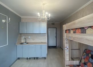 Квартира на продажу студия, 17.6 м2, Уссурийск, улица Горького, 100