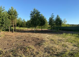 Продаю участок, 16 сот., деревня Мыльники