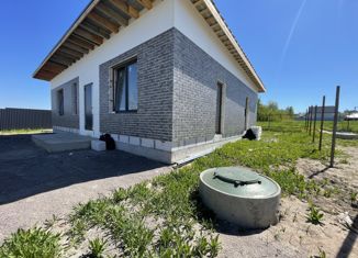 Продаю дом, 120 м2, ДНП Пигелево, Окраинная улица