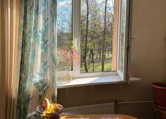 Продается 1-комнатная квартира, 51.4 м2, Санкт-Петербург, Ново-Александровская улица, 14, Ново-Александровская улица