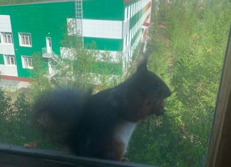 Продается 1-ком. квартира, 42.1 м2, Мирный, улица Тихонова, 8