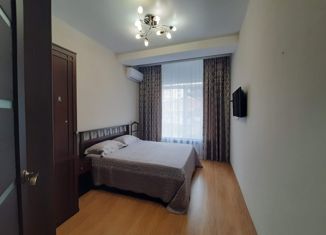 2-комнатная квартира в аренду, 36 м2, Сочи, Троицкая улица, 31/11, микрорайон Голубые Дали