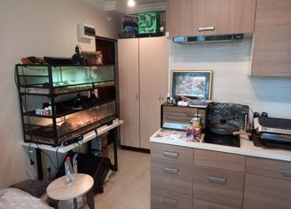 Продажа квартиры студии, 17 м2, Москва, Покровская улица, 17к4, Покровская улица