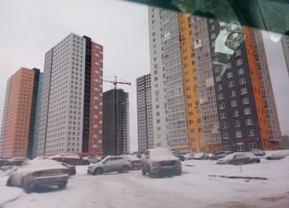 1-комнатная квартира на продажу, 46.9 м2, деревня Анкудиновка, Черкесская улица, 18