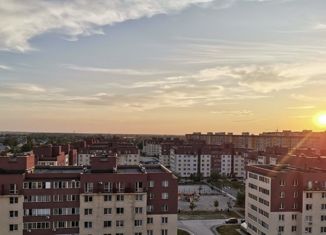 Продается квартира студия, 23 м2, Новосибирск, Дивногорская улица, 150/4, Дивногорская улица