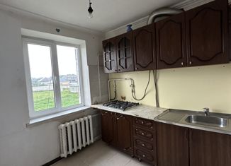 Продажа однокомнатной квартиры, 28.1 м2, село Шалушка, улица Кирзавод, 14